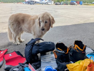 The welcoming party back at the hangar; definitely just glad to see us, not at all hunting for snacks.